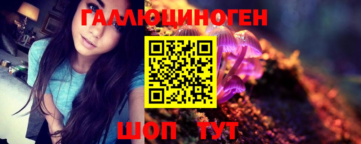 Дубна  Галлюциногенные грибы мицелий  Вход с VPN 